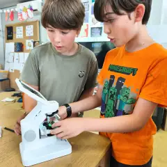 Curiosity at Alma Forest School, image 1