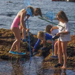 Discovery at Alma Forest School, image 1