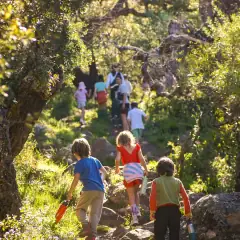 Discovery at Alma Forest School, image 3