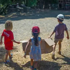 Collaboration at Alma Forest School, image 3